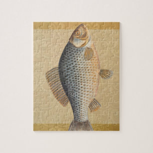 Carp fish fishing painting freshwater jigsaw puzzle