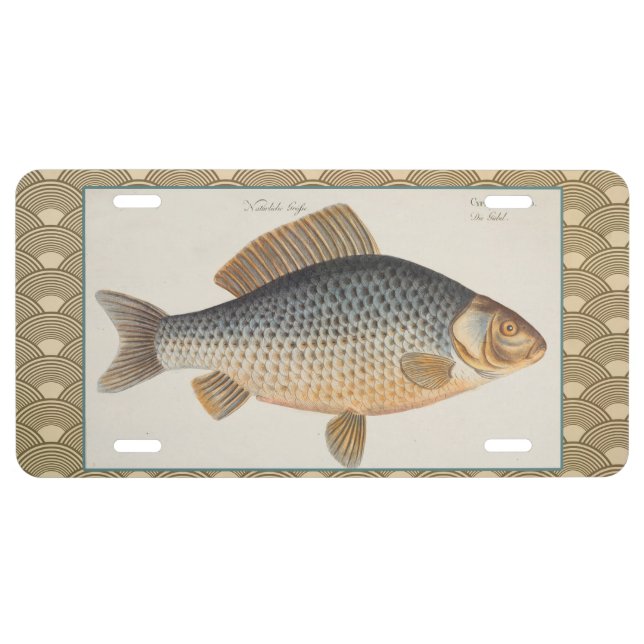 Carp fish fishing painting freshwater license plate (Front)