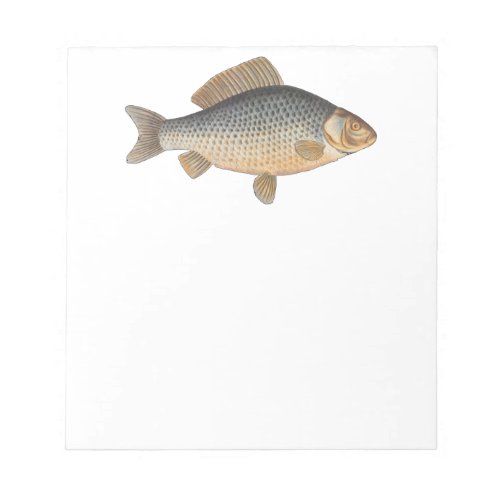 Carp fish fishing painting freshwater notepad