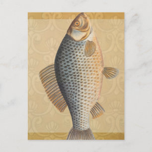 Carp fish fishing painting freshwater postcard