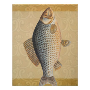 Carp fish fishing painting freshwater poster