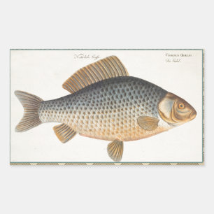 Carp fish fishing painting freshwater rectangular sticker