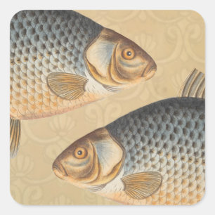 Carp fish fishing painting freshwater square sticker