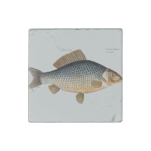 Carp fish fishing painting freshwater stone magnet
