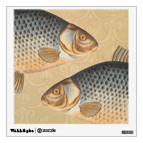 Carp fish fishing painting freshwater wall sticker