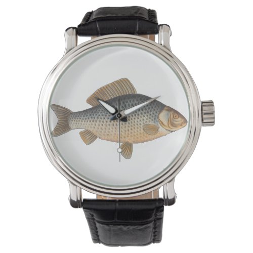 Carp fish fishing painting freshwater watch