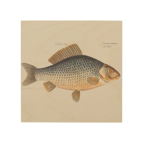 Carp fish fishing painting freshwater wood wall art