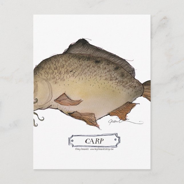 Carp fish, tony fernandes postcard (Front)