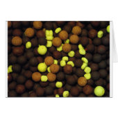 Carp Fishing - Boilies 2 (Front Horizontal)