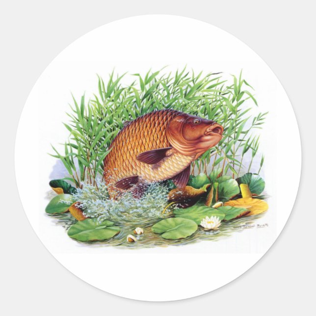 Carp Fishing Classic Round Sticker (Front)