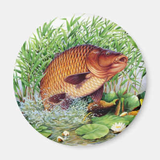 Carp Fishing Magnet