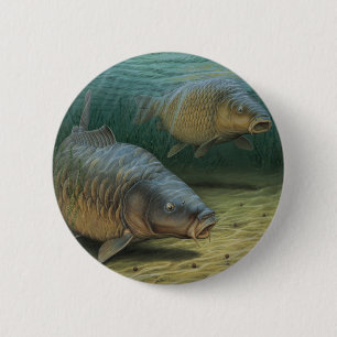 Carp Fishing Two Carp Pinback Button