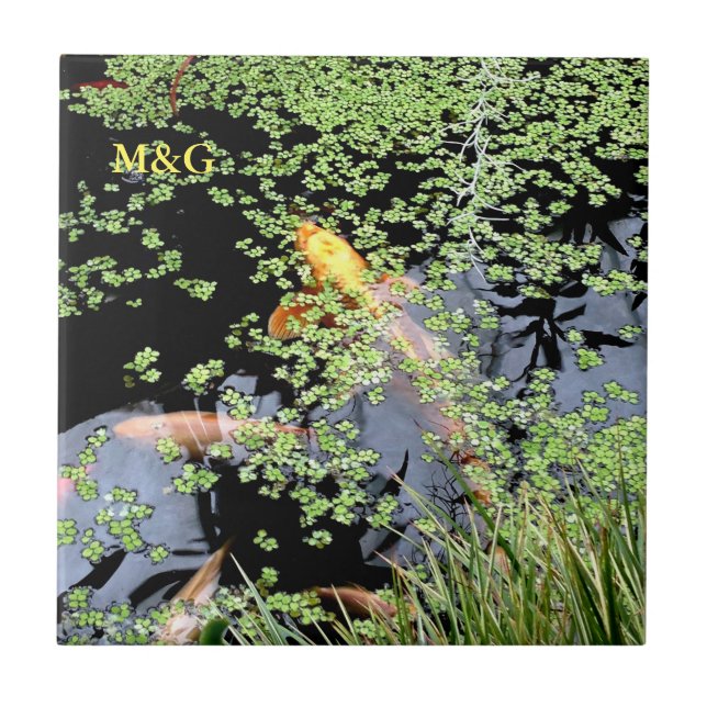 Carp Tile (Front)