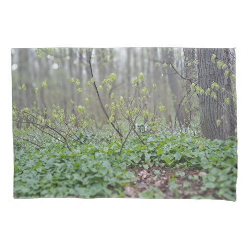 Carpathian Forest Floor Romania Nature Photograpy Pillow Case