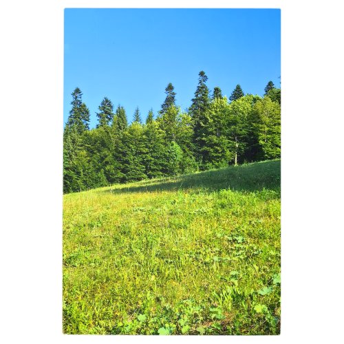 Carpathian Green Meadow – Romania Mountain Print