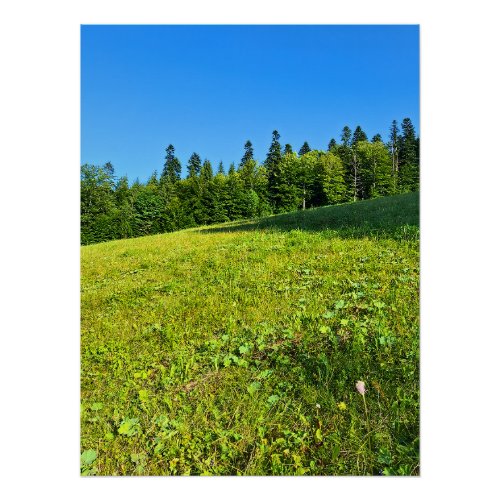 Carpathian Green Meadow – Romania Mountain Print