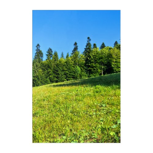 Carpathian Green Meadow – Romania Mountain Print Acrylic Print