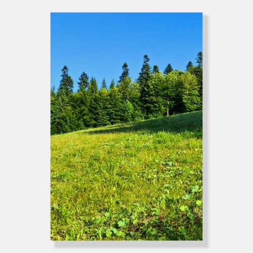 Carpathian Green Meadow – Romania Mountain Print Foam Board