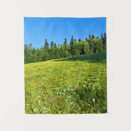 Carpathian Green Meadow – Romania Mountain Print Tapestry