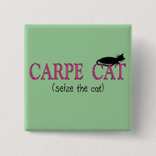 Carpe Cat (Seize The Cat) Gifts Pinback Button