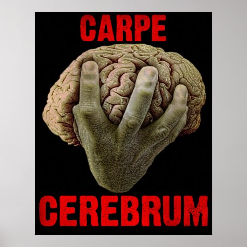 CARPE CEREBRUM poster