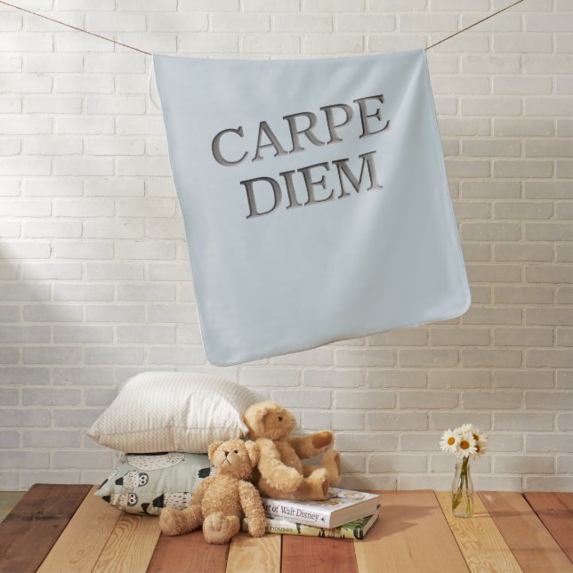 Carpe Diem blue baby blanket (In Situ)