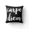 Carpe Diem Brush Typography Statement Pillow