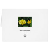 carpe diem card (Back Horizontal)