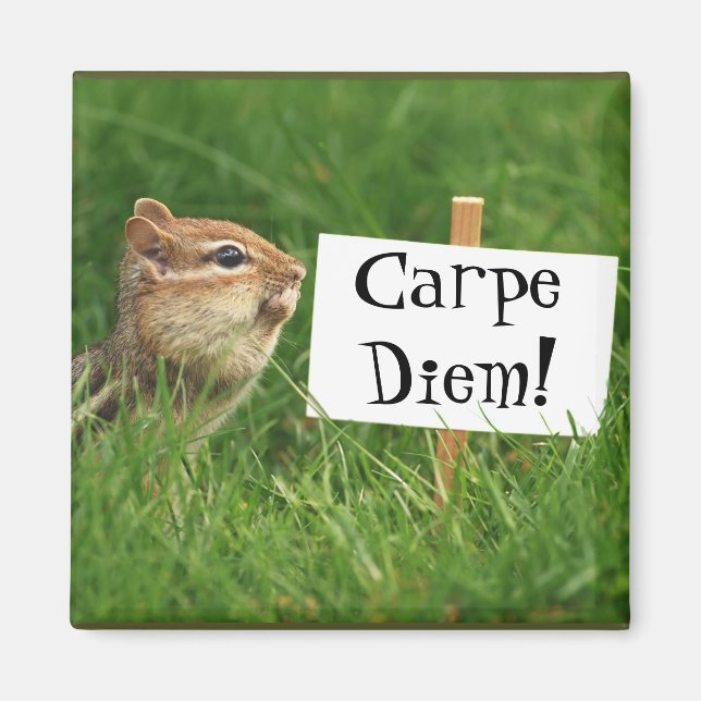 Carpe Diem! Chipmunk with Sign Magnet (Front)