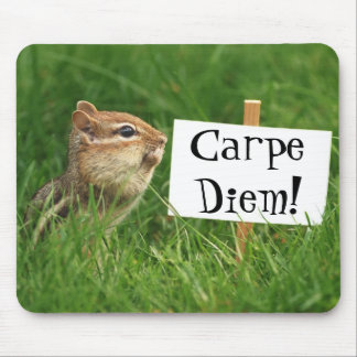 Carpe Diem! Chipmunk with Sign Mouse Pad