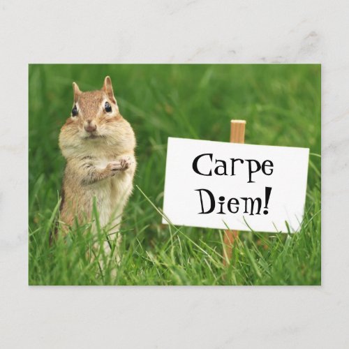 Carpe Diem Chipmunk with Sign Postcard