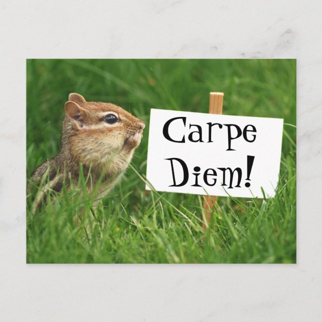 Carpe Diem! Chipmunk with Sign Postcard (Front)