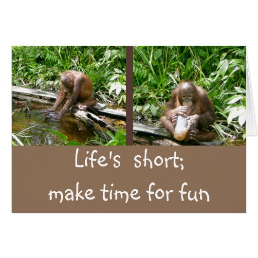 Carpe Diem Enjoy Life (Front Horizontal)