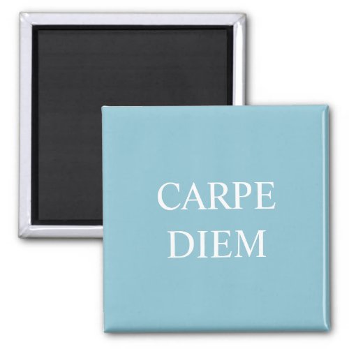 Carpe Diem Latin Quote Magnet _ Turquoise