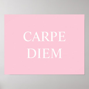 Free Phone Wallpaper  Carpe Diem - Seize The Day - Skipping Flamingo
