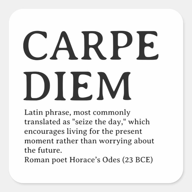 Carpe Diem latin quote Square Sticker (Front)