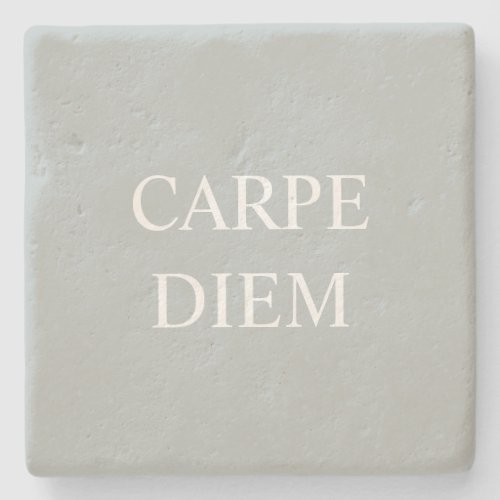 Carpe Diem Latin Quote Stone Coaster _ Gray