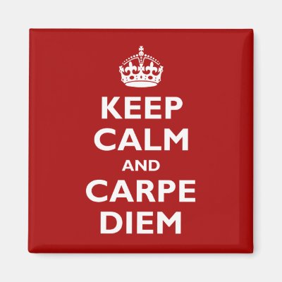 Carpe Diem! Magnet