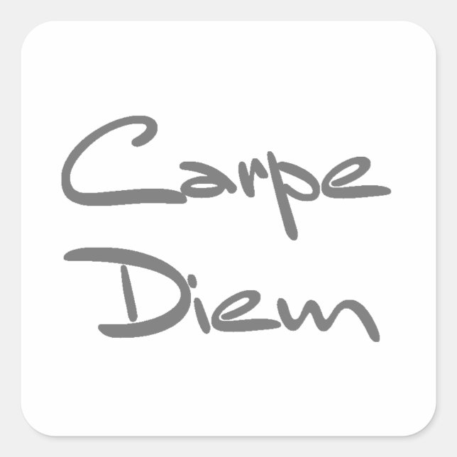 CARPE DIEM Modern Cool Text Square Sticker (Front)
