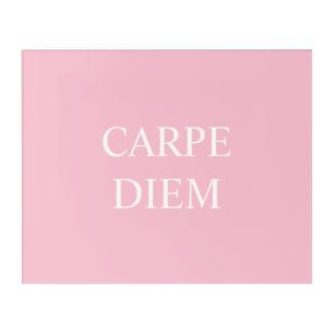 Carpe Diem Pink Acrylic Wall Art