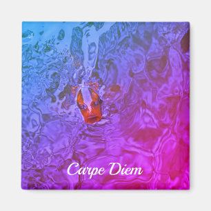 Carpe Diem Pond Fish Fun Photograph Magnet