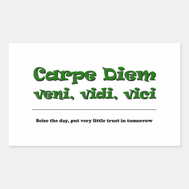 Carpe Diem Rectangular Sticker (Front)