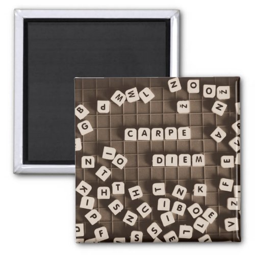 Carpe Diem Scrambled Letter Tiles Magnet