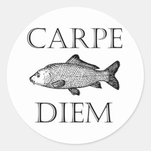 https://rlv.zcache.com/carpe_diem_seize_the_day_carp_fish_procrastinator_classic_round_sticker-r46ea748bf5d54108bd492d7af1a83282_0ugmp_8byvr_307.jpg