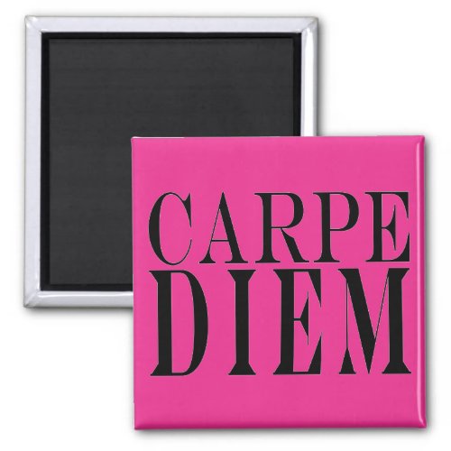 Carpe Diem Seize the Day Latin Quote Happiness Magnet