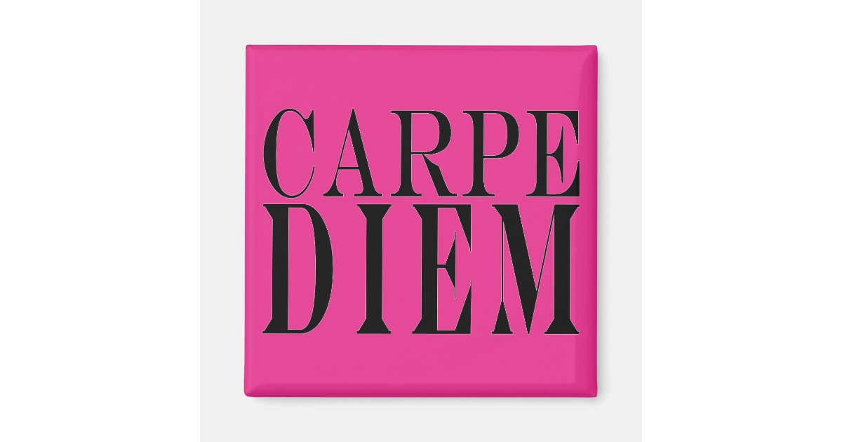 Carpe Diem Seize the Day Latin Quote Happiness Magnet | Zazzle
