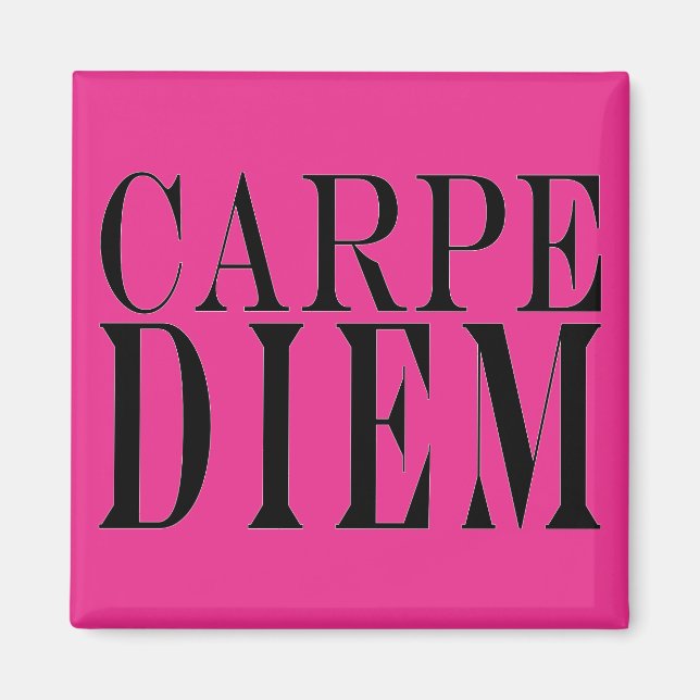 Carpe Diem Seize the Day Latin Quote Happiness Magnet (Front)