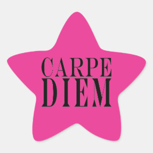 Carpe Diem Seize the Day Latin Quote Happiness Star Sticker