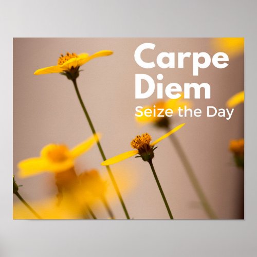 Carpe Diem Seize the Day Poster