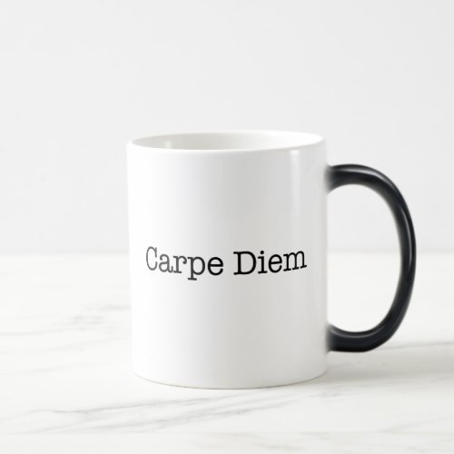 Carpe Diem Seize the Day Quote _ Quotes Magic Mug